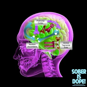 Sober is Dope!