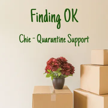 Finding OK - Healing After Sexual Assault and Abuse