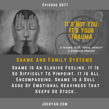 It’s Not You, It’s Your Trauma - Trauma, PTSD, Abuse, Anxiety & Recovery - Joe Ryan