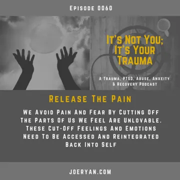 It’s Not You, It’s Your Trauma - Trauma, PTSD, Abuse, Anxiety & Recovery - Joe Ryan