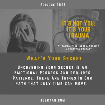 It’s Not You, It’s Your Trauma - Trauma, PTSD, Abuse, Anxiety & Recovery - Joe Ryan