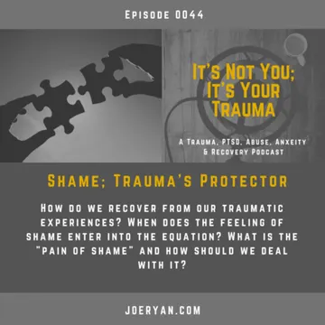 It’s Not You, It’s Your Trauma - Trauma, PTSD, Abuse, Anxiety & Recovery - Joe Ryan