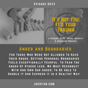 It’s Not You, It’s Your Trauma - Trauma, PTSD, Abuse, Anxiety & Recovery - Joe Ryan