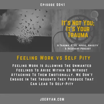 It’s Not You, It’s Your Trauma - Trauma, PTSD, Abuse, Anxiety & Recovery - Joe Ryan