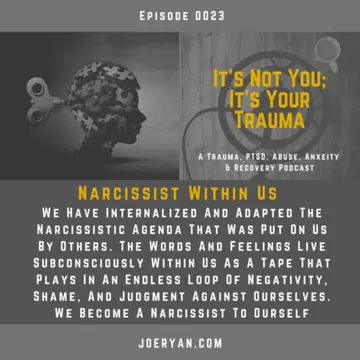 It’s Not You, It’s Your Trauma - Trauma, PTSD, Abuse, Anxiety & Recovery - Joe Ryan