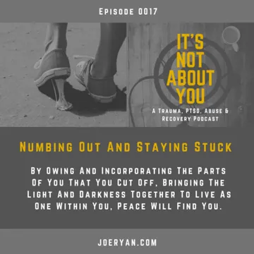 It’s Not You, It’s Your Trauma - Trauma, PTSD, Abuse, Anxiety & Recovery - Joe Ryan