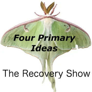 The Recovery Show » Finding serenity through 12 step recovery in Al-Anon – a podcast