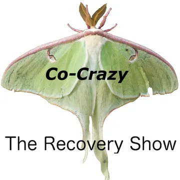 The Recovery Show » Finding serenity through 12 step recovery in Al-Anon – a podcast