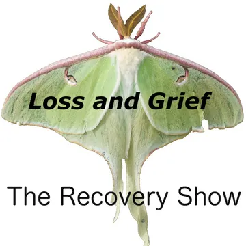 The Recovery Show » Finding serenity through 12 step recovery in Al-Anon – a podcast