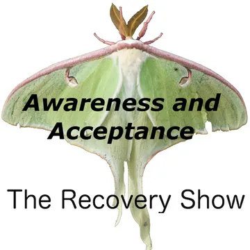 The Recovery Show » Finding serenity through 12 step recovery in Al-Anon – a podcast