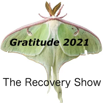 The Recovery Show » Finding serenity through 12 step recovery in Al-Anon – a podcast