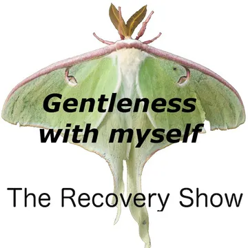 The Recovery Show » Finding serenity through 12 step recovery in Al-Anon – a podcast