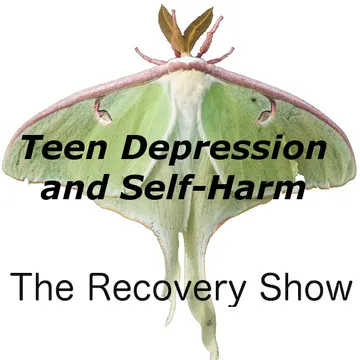 The Recovery Show » Finding serenity through 12 step recovery in Al-Anon – a podcast