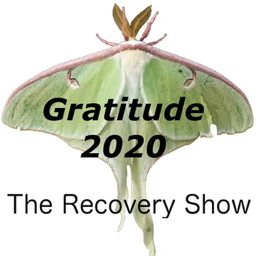 The Recovery Show » Finding serenity through 12 step recovery in Al-Anon – a podcast