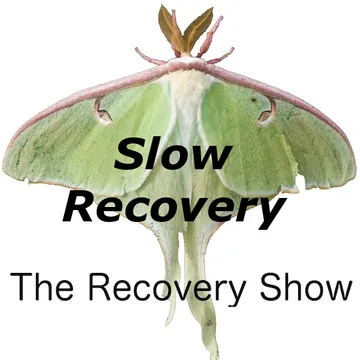 The Recovery Show » Finding serenity through 12 step recovery in Al-Anon – a podcast