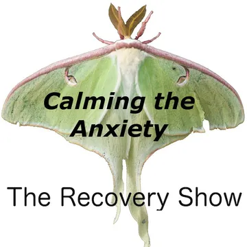 The Recovery Show » Finding serenity through 12 step recovery in Al-Anon – a podcast