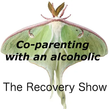 The Recovery Show » Finding serenity through 12 step recovery in Al-Anon – a podcast