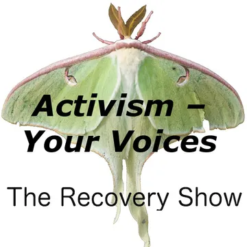 The Recovery Show » Finding serenity through 12 step recovery in Al-Anon – a podcast