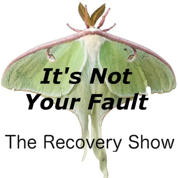 The Recovery Show » Finding serenity through 12 step recovery in Al-Anon – a podcast