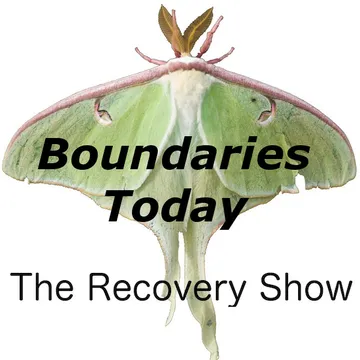 The Recovery Show » Finding serenity through 12 step recovery in Al-Anon – a podcast