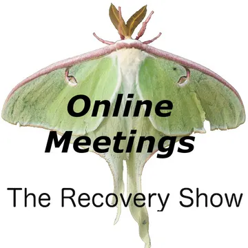 The Recovery Show » Finding serenity through 12 step recovery in Al-Anon – a podcast