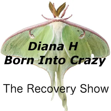 The Recovery Show » Finding serenity through 12 step recovery in Al-Anon – a podcast