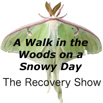 The Recovery Show » Finding serenity through 12 step recovery in Al-Anon – a podcast