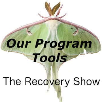 The Recovery Show » Finding serenity through 12 step recovery in Al-Anon – a podcast