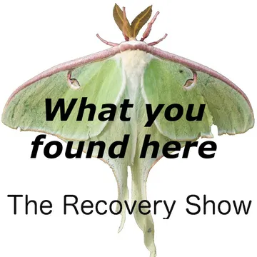 The Recovery Show » Finding serenity through 12 step recovery in Al-Anon – a podcast