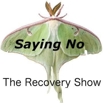 The Recovery Show » Finding serenity through 12 step recovery in Al-Anon – a podcast