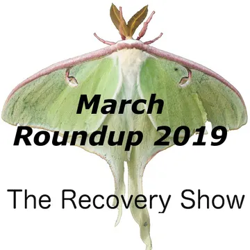 The Recovery Show » Finding serenity through 12 step recovery in Al-Anon – a podcast