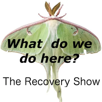 The Recovery Show » Finding serenity through 12 step recovery in Al-Anon – a podcast