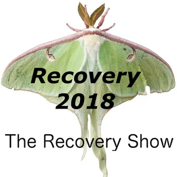 The Recovery Show » Finding serenity through 12 step recovery in Al-Anon – a podcast