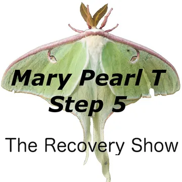 The Recovery Show » Finding serenity through 12 step recovery in Al-Anon – a podcast