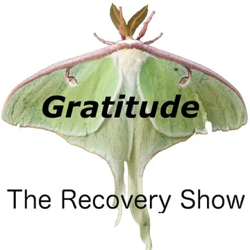 The Recovery Show » Finding serenity through 12 step recovery in Al-Anon – a podcast