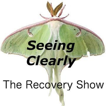 The Recovery Show » Finding serenity through 12 step recovery in Al-Anon – a podcast