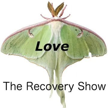 The Recovery Show » Finding serenity through 12 step recovery in Al-Anon – a podcast