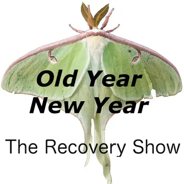 The Recovery Show » Finding serenity through 12 step recovery in Al-Anon – a podcast