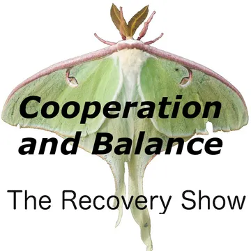 The Recovery Show » Finding serenity through 12 step recovery in Al-Anon – a podcast