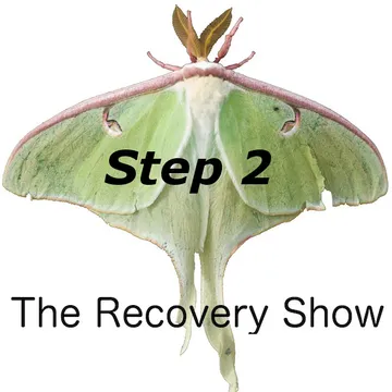 The Recovery Show » Finding serenity through 12 step recovery in Al-Anon – a podcast