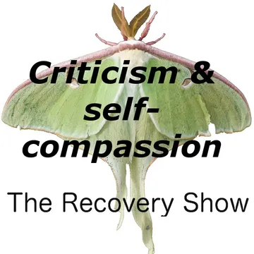 The Recovery Show » Finding serenity through 12 step recovery in Al-Anon – a podcast