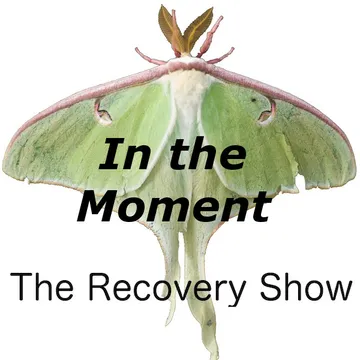 The Recovery Show » Finding serenity through 12 step recovery in Al-Anon – a podcast