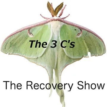 The Recovery Show » Finding serenity through 12 step recovery in Al-Anon – a podcast