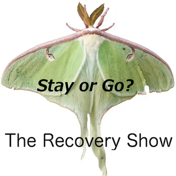 The Recovery Show » Finding serenity through 12 step recovery in Al-Anon – a podcast