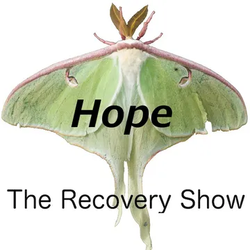 The Recovery Show » Finding serenity through 12 step recovery in Al-Anon – a podcast