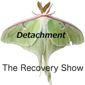 The Recovery Show » Finding serenity through 12 step recovery in Al-Anon – a podcast