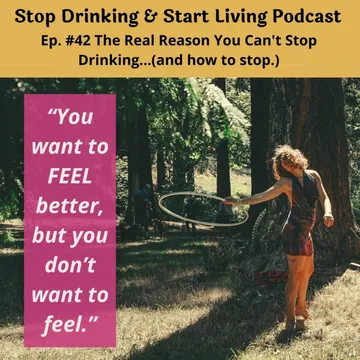 Stop Drinking and Start Living