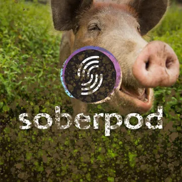 Sober Pod - Recovery Podcast