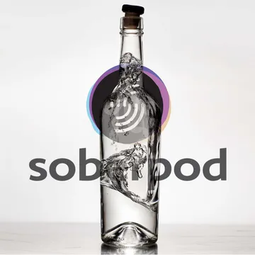 Sober Pod - Recovery Podcast