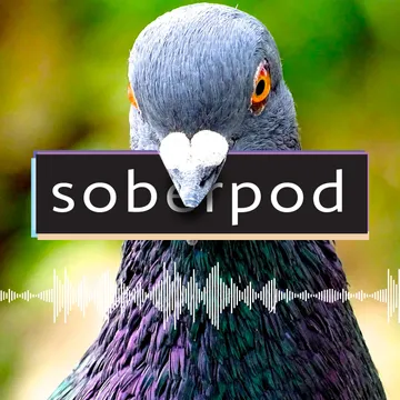 Sober Pod - Recovery Podcast